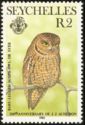 Seychelles Scops Owl (Otus insularis)